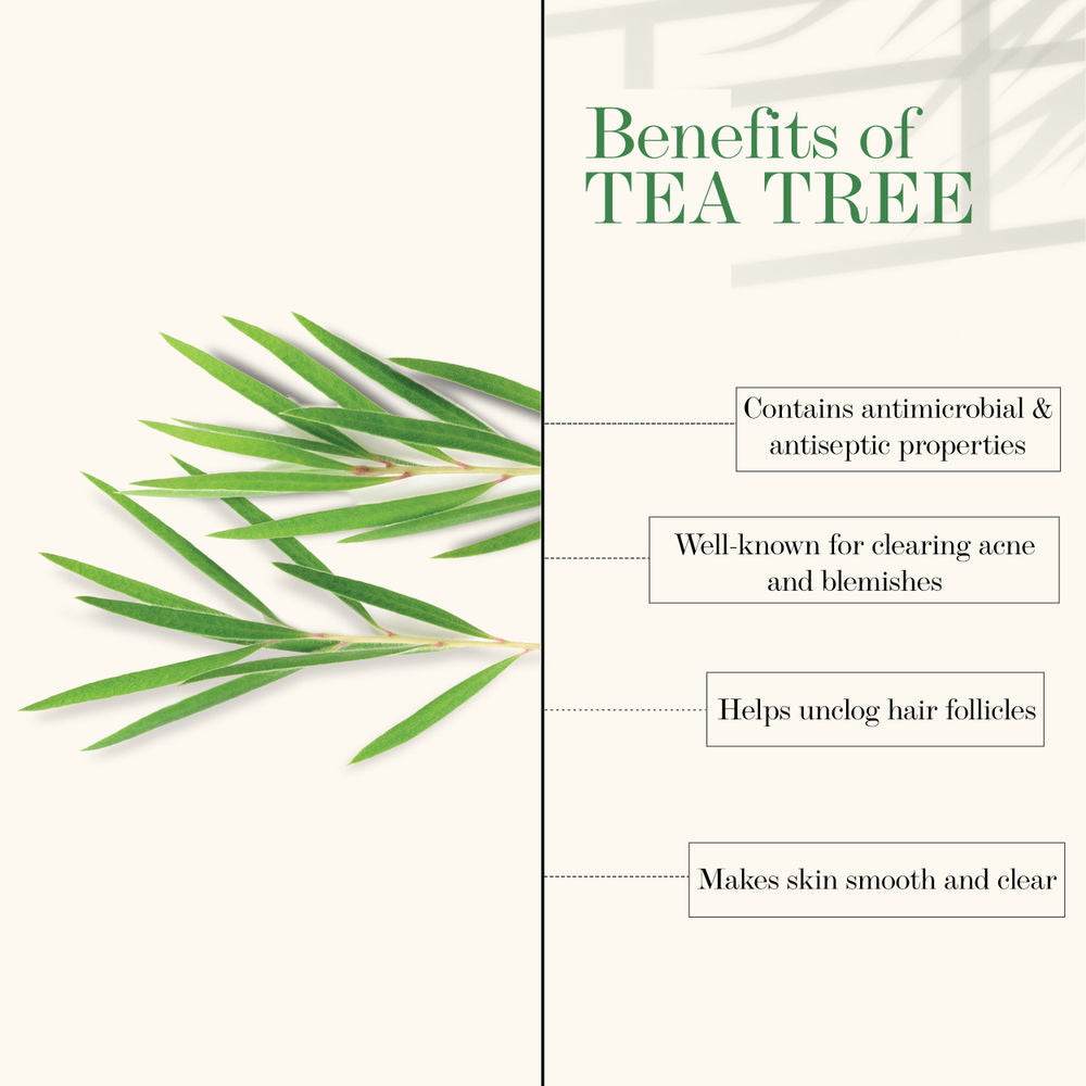Good Vibes 100% Pure Tea Tree Essential Oil