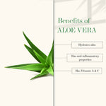Thumbnail for Good Vibes Aloe Vera Revitalizing Night Cream