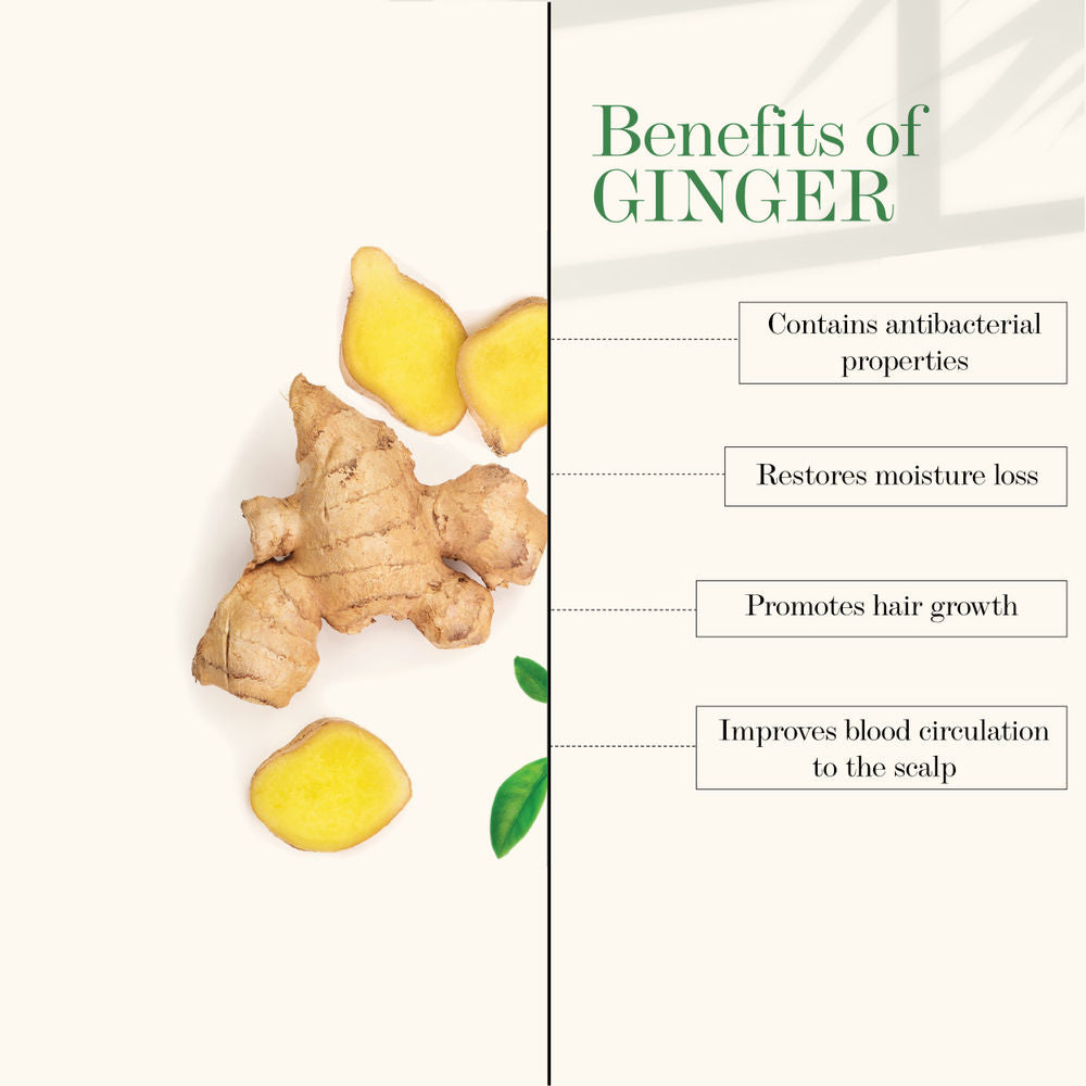 Good Vibes Anti Dandruff Conditioner - Ginger