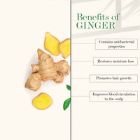 Thumbnail for Good Vibes Anti Dandruff Conditioner - Ginger