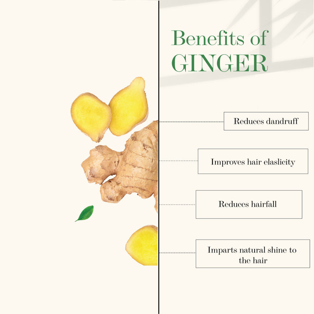 Good Vibes Anti Dandruff Shampoo - Ginger
