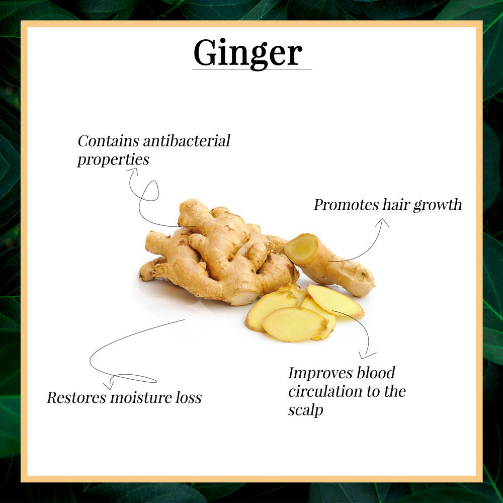 Benefits of Ginger for Hair: Hair Growth, Dandruff