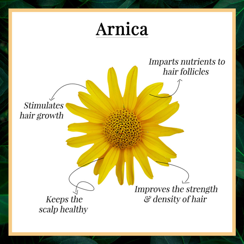 Good Vibes Damage Control Hair Mist - Arnica