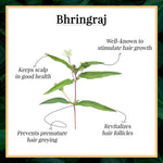 Thumbnail for Good Vibes Nourishing Hair Mist - Bhringraj