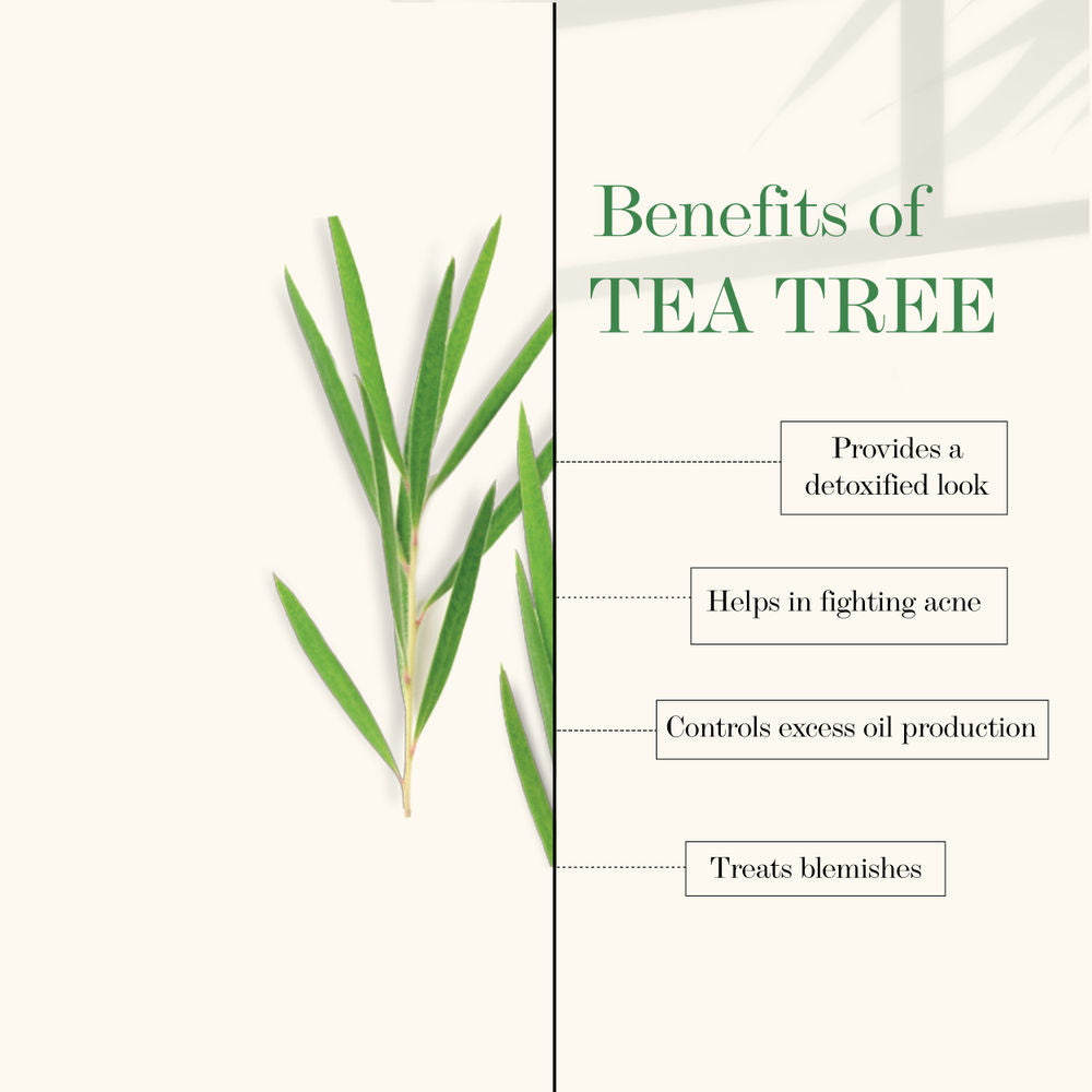 Good Vibes Blackhead Removal + Anti-Ageing Face Wash - Tea Tree Oil + Holy Basil