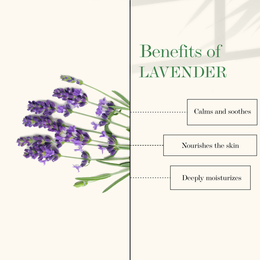 Good Vibes Nourishing Chin and Neck Cream - Lavender