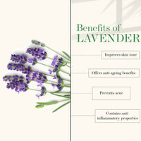Thumbnail for Good Vibes Lavender Softening Body Lotion