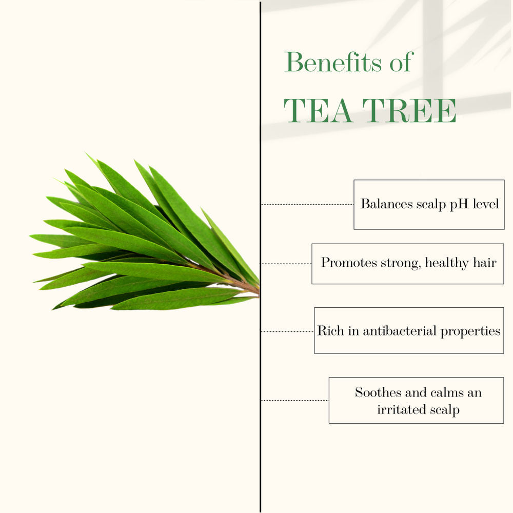 Good Vibes Tea Tree & Rosemary Anti Dandruff Hair Oil