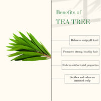 Thumbnail for Good Vibes Tea Tree & Rosemary Anti Dandruff Hair Oil