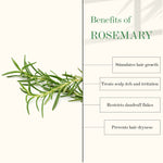 Thumbnail for Good Vibes Tea Tree & Rosemary Anti Dandruff Hair Oil