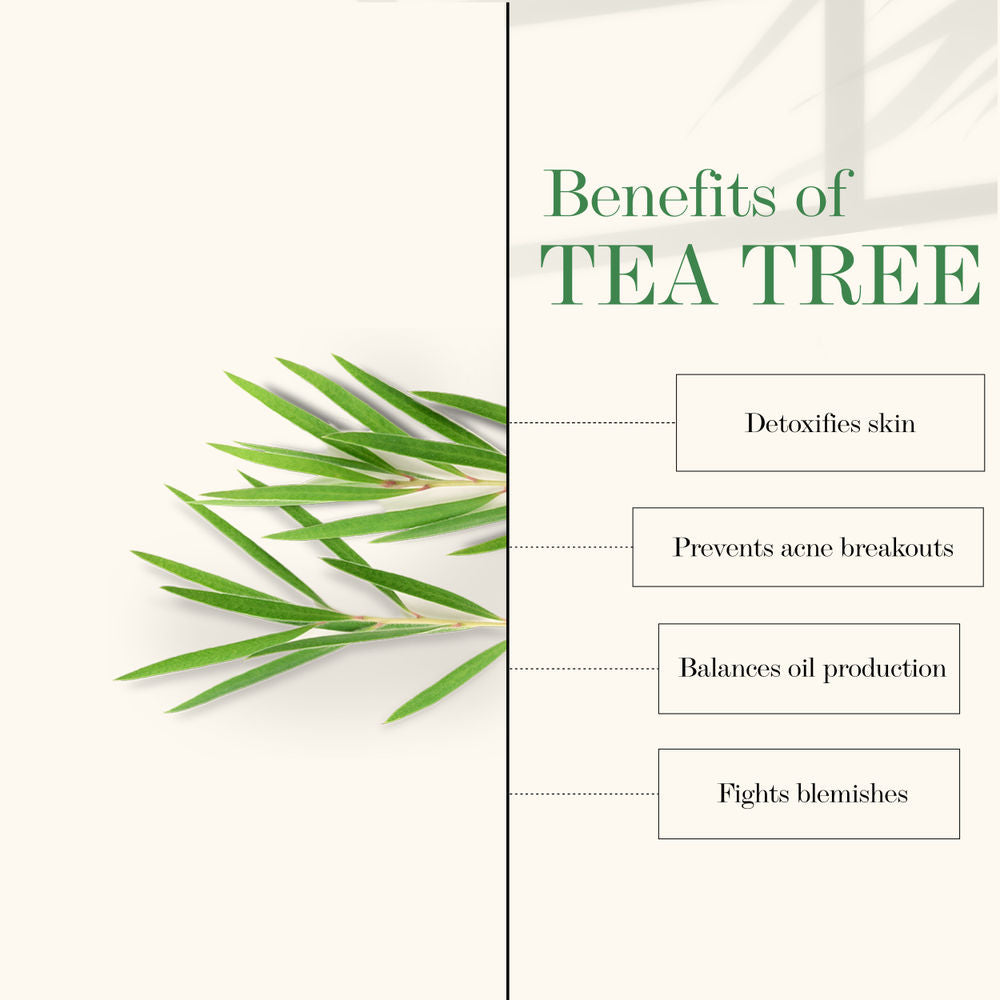 Good Vibes Tea Tree Cleansing Toner