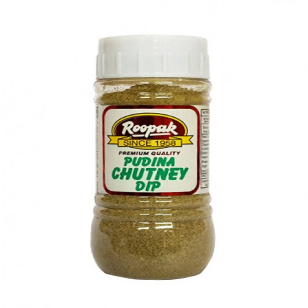 Roopak Pudina Chutney Dip - Distacart