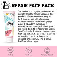Thumbnail for Auli Repair Face Pack - Pack Up - Distacart