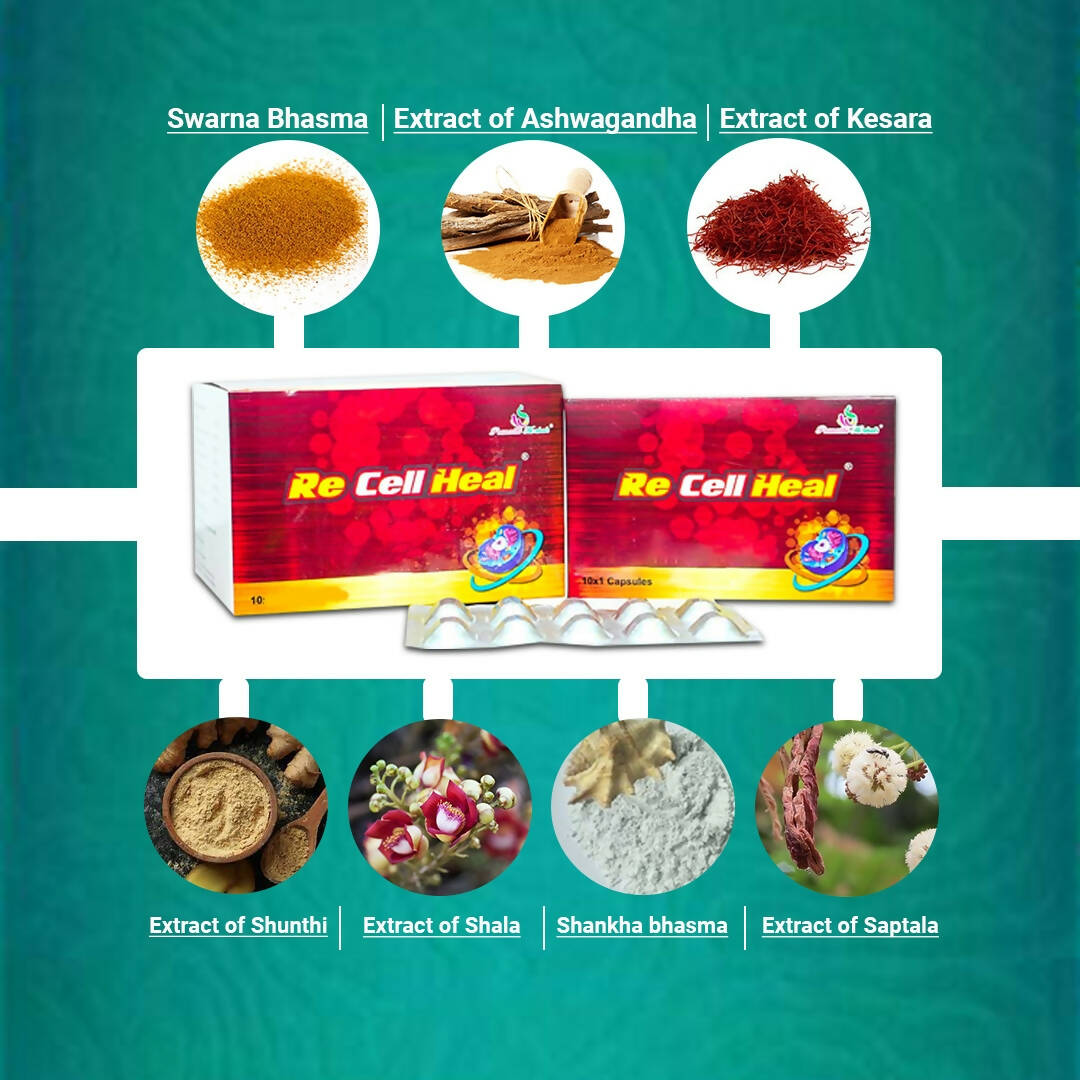 KBK Herbals Re Cell Heal Capsules - Distacart