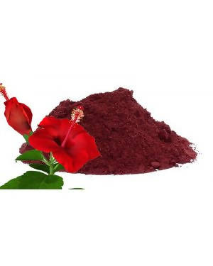Hebsur Herbals Hibiscus Powder - Distacart