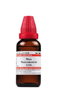 Thumbnail for Dr. Willmar Schwabe India Rhus Toxicodendron Dilution - 6 CH/ 30 ml