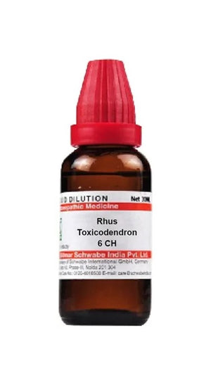 Dr. Willmar Schwabe India Rhus Toxicodendron Dilution - 6 CH/ 30 ml
