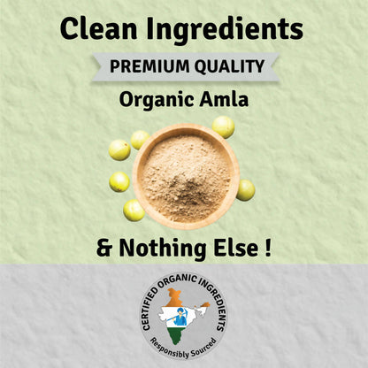 Jus Amazin Amla Powder Superfood - Distacart
