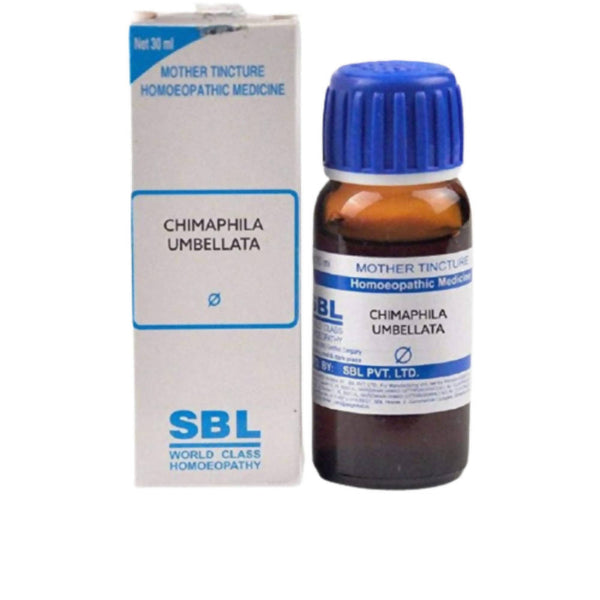 SBL Homeopathy Chimaphila Umbellata Mother Tincture Q - Distacart