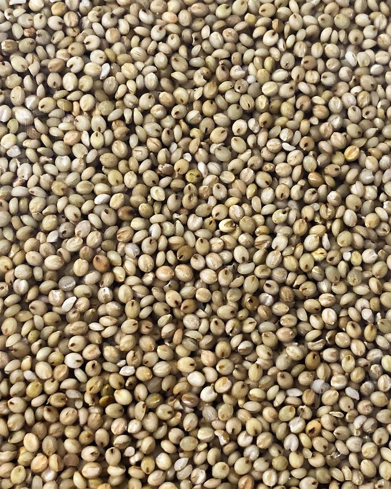 Kalagura Gampa Andukorralu Rice/Brown Top Millets