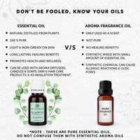 Thumbnail for Bella Vita Organic Eucalyptus Essential Oil - Distacart