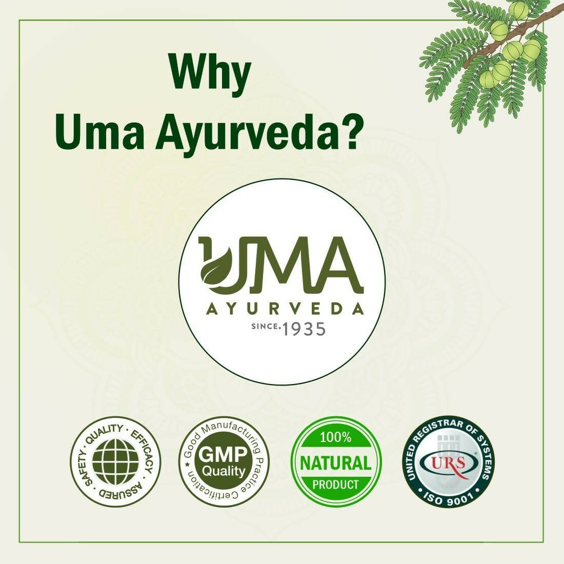 Uma Ayurveda Umadizest Gastric Medicine Ayurvedic Tablets - Distacart