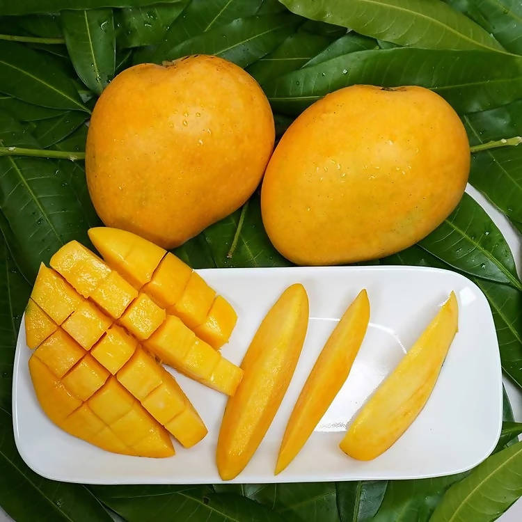 Banganapalli Mangoes - Distacart