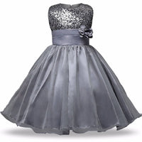 Thumbnail for Asmaani Baby Girl Grey Color Satin A-Line Maxi Full Length Dress (AS-DRESS_22049) - Distacart