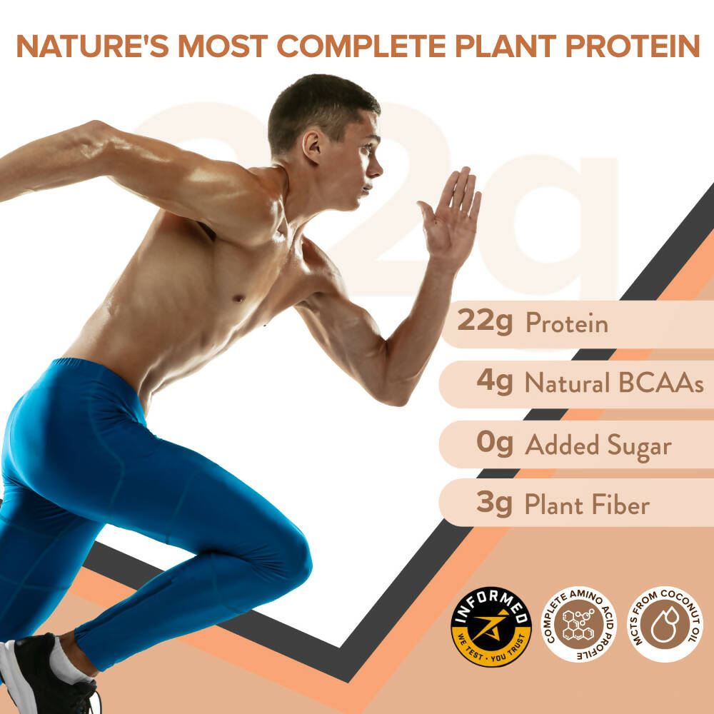 Wellbeing Nutrition Superfood Plant Protein-Dark Chocolate Hazelnut - Distacart