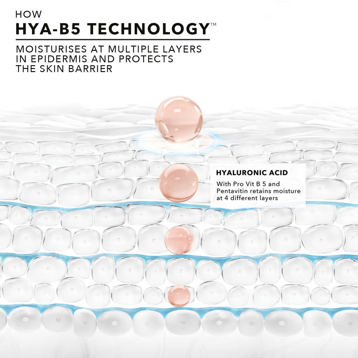 Novology Hyaluronic Acid Skin Barrier Protect Serum - Distacart