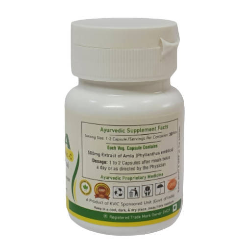 Deep Ayurveda Amla 500mg Veg Capsules - Distacart