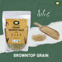 Thumbnail for Millet Amma Organic Browntop Millet Grains - Distacart