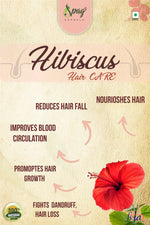 Thumbnail for Spag Herbals Premium Hibiscus Powder - Distacart