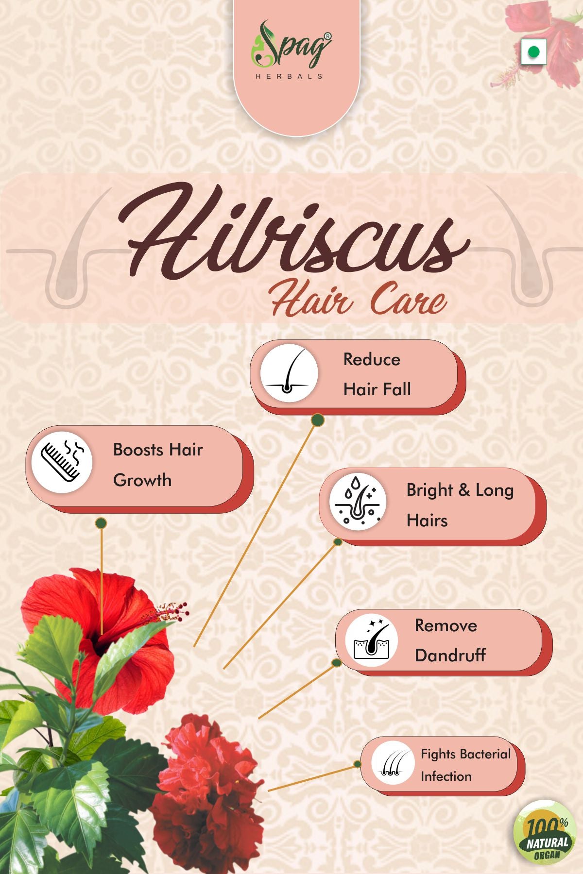 Spag Herbals Premium Hibiscus Powder - Distacart