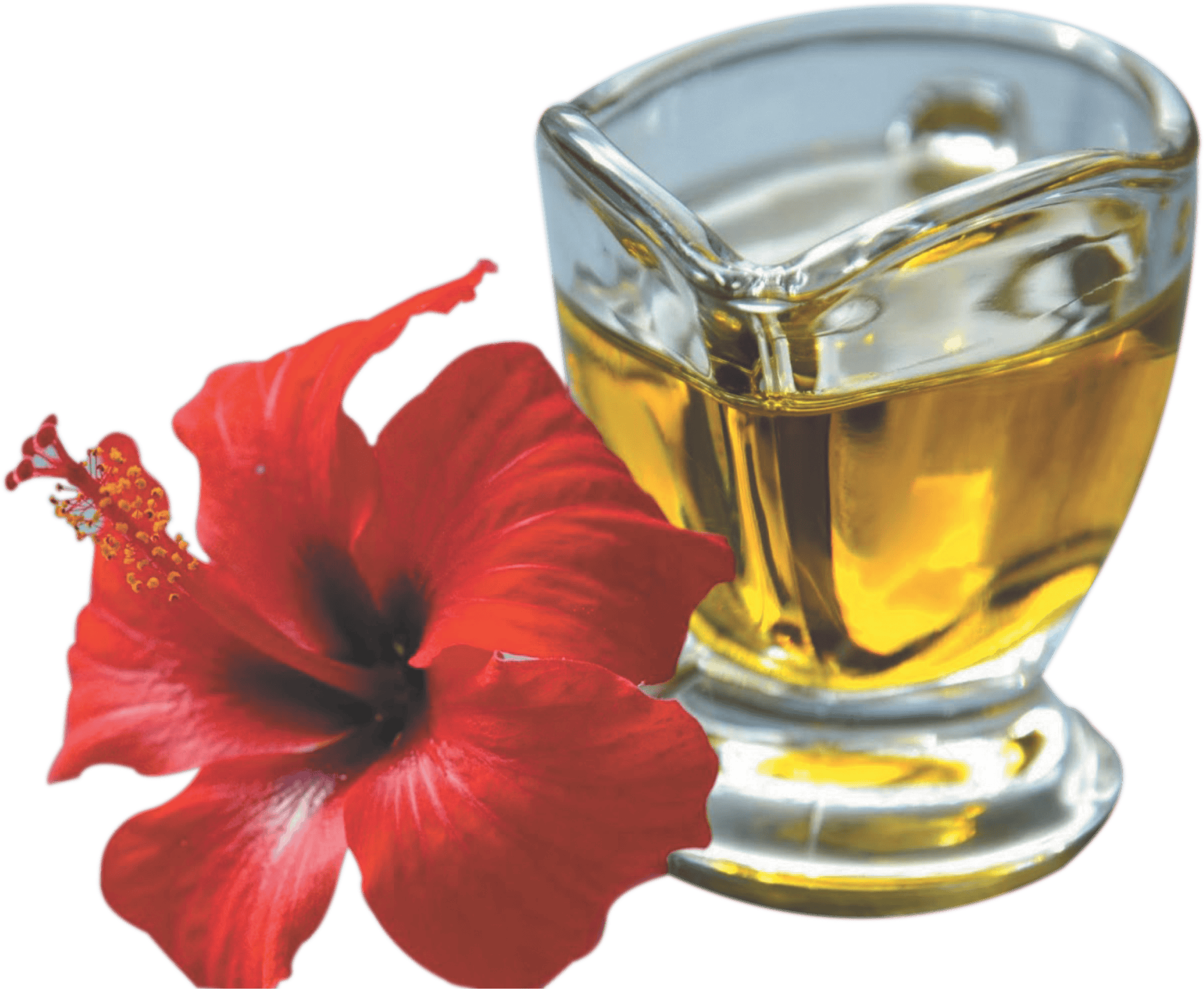 Spag Herbals Hibiscus Herbal Hair Oil - Distacart