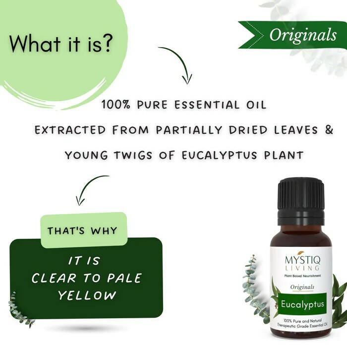 Mystiq Living Originals Eucalyptus Essential Oil - Distacart