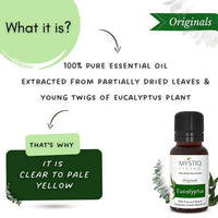Thumbnail for Mystiq Living Originals Eucalyptus Essential Oil - Distacart