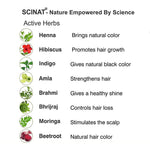 Thumbnail for Inatur Natural Hair Color