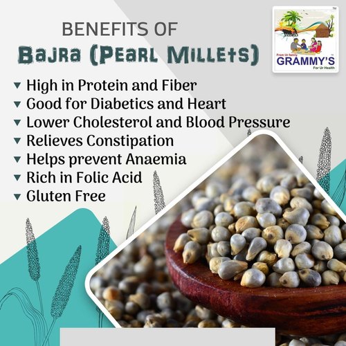Grammy's Grammy Pearl Millet Online