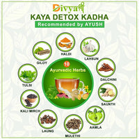 Thumbnail for Divya Shree Kaya Detox Immunity Booster Kwath Powder - Distacart
