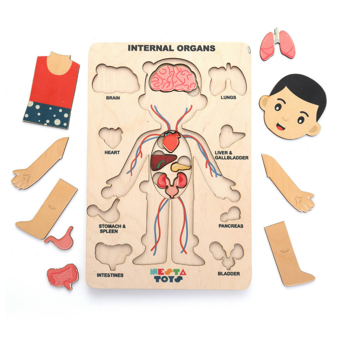 Nesta Toys Human Body | Internal Organs Wooden Puzzle - Distacart