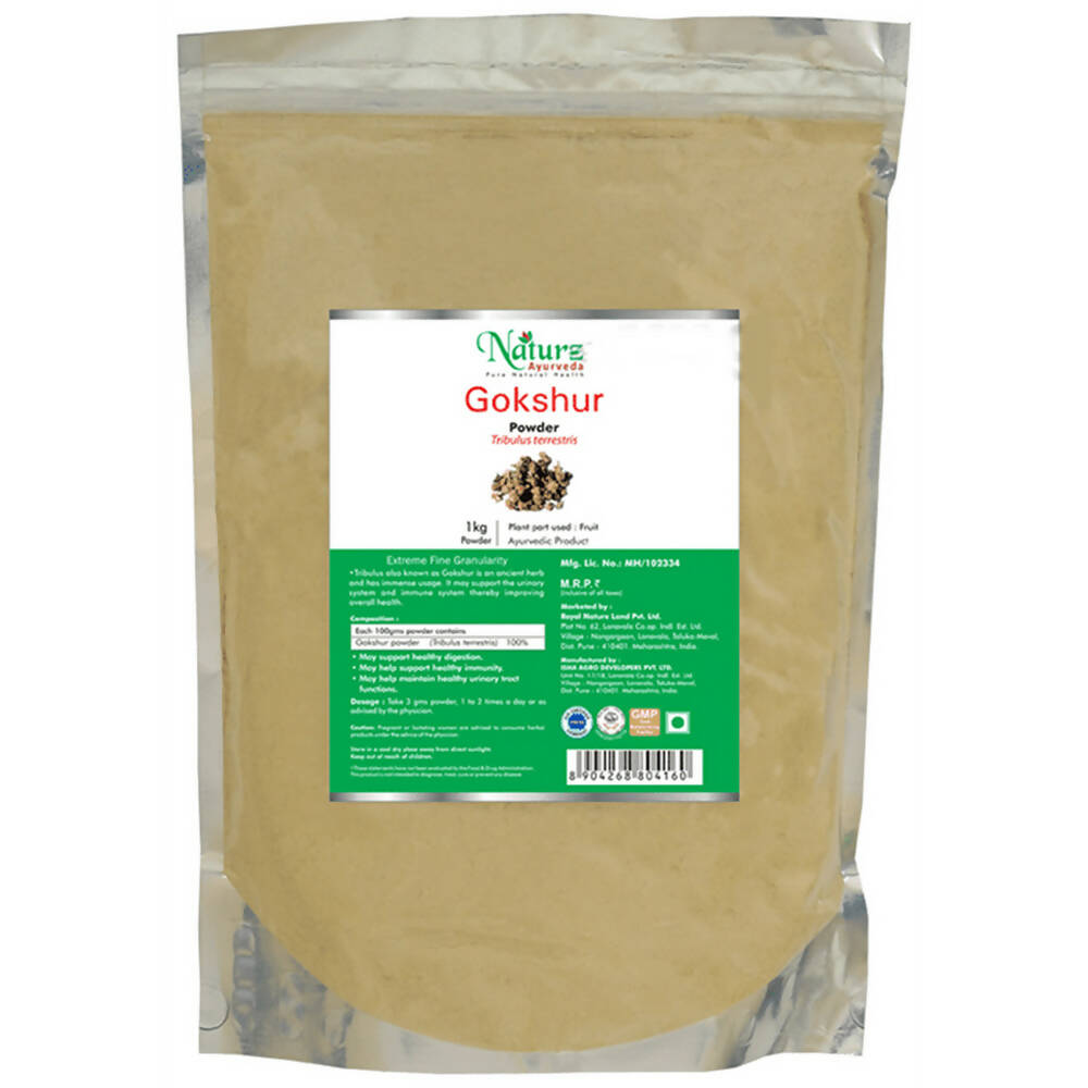 Naturz Ayurveda Gokshur Powder - Distacart