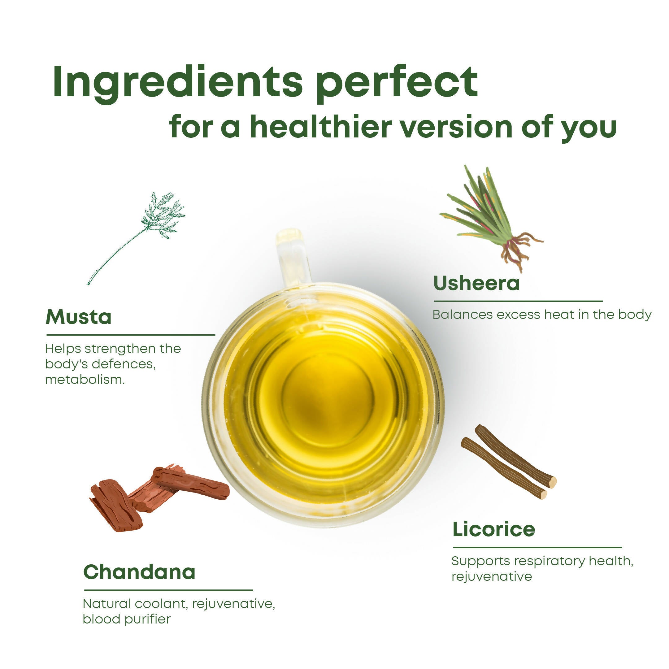 Shivamastu Ayurveda Wellnessbrew Herbal Tea - 20 Pyramid Teabags - Distacart