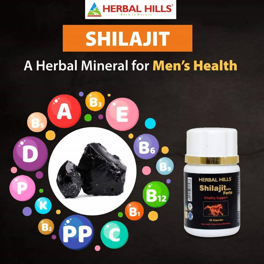 Shilajithills Forte Vitality Support Capsules