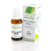 Similia Homeopathy Phyllanthus Niruri Mother Tincture Q - Distacart