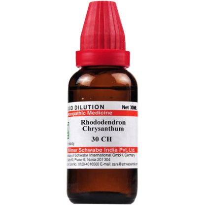 Dr. Willmar Schwabe India Rhododendron Chrysanthum Dilution - Distacart