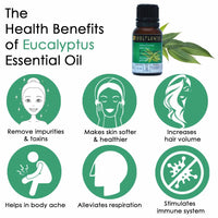 Thumbnail for Soulflower Aromatherapy Pure Eucalyptus Essential Oil benefits