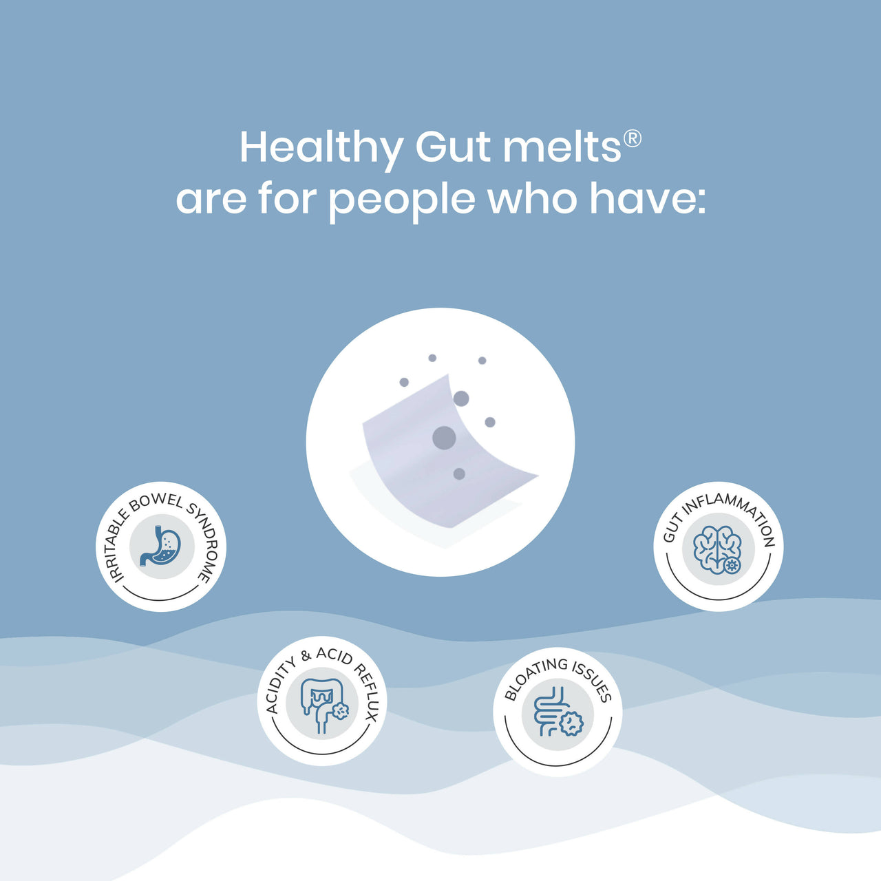 Wellbeing Nutrition Melts Healthy Gut Oral Strips - Distacart