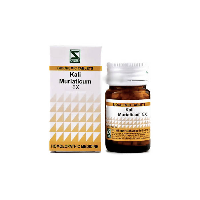 Dr. Willmar Schwabe India Kali Muriaticum Biochemic Tablet - Distacart