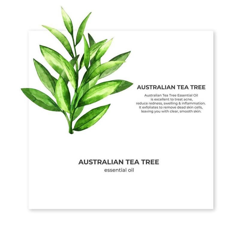 Juicy Chemistry Australian Tea Tree Essential Oil - Distacart
